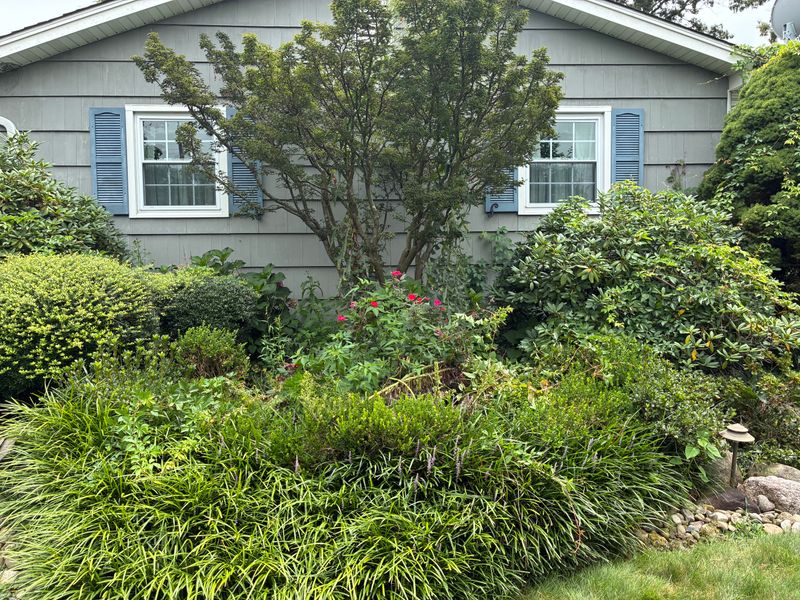 Lawn Maintenance