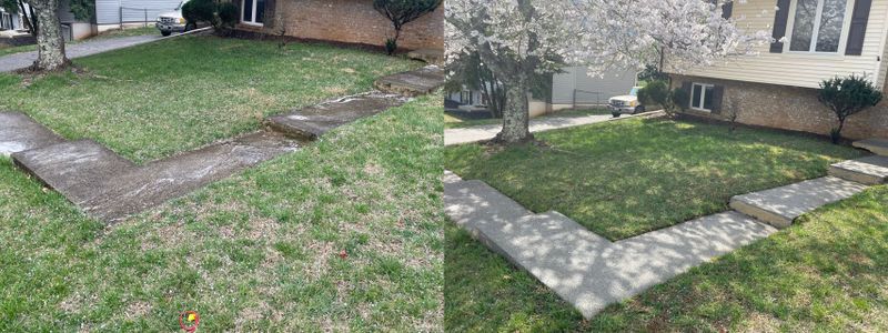 Soft Washing for Delicate Surfaces