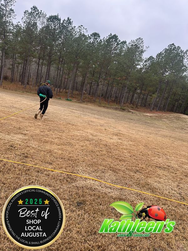 Lawn Care