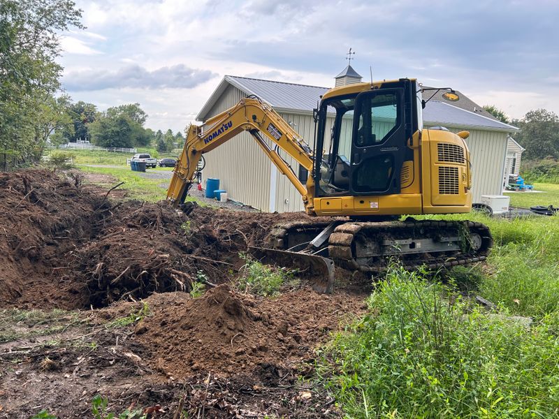 Stump Removal