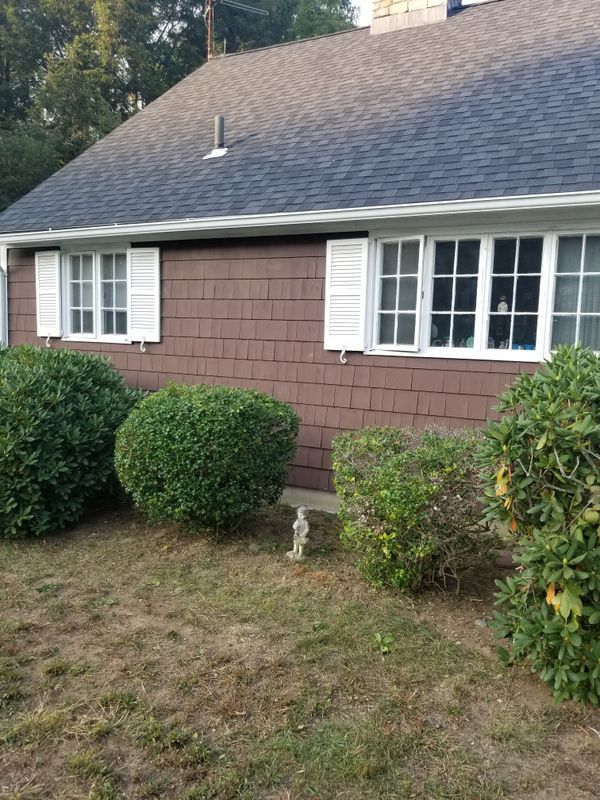 Hedge/Tree/Brush Cutting