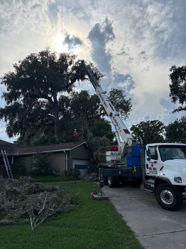 Tree Pruning