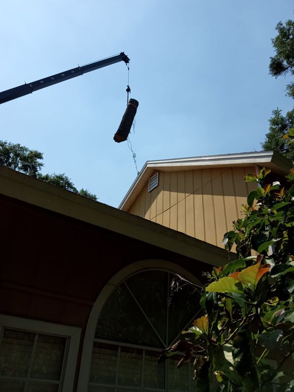 Tree Services