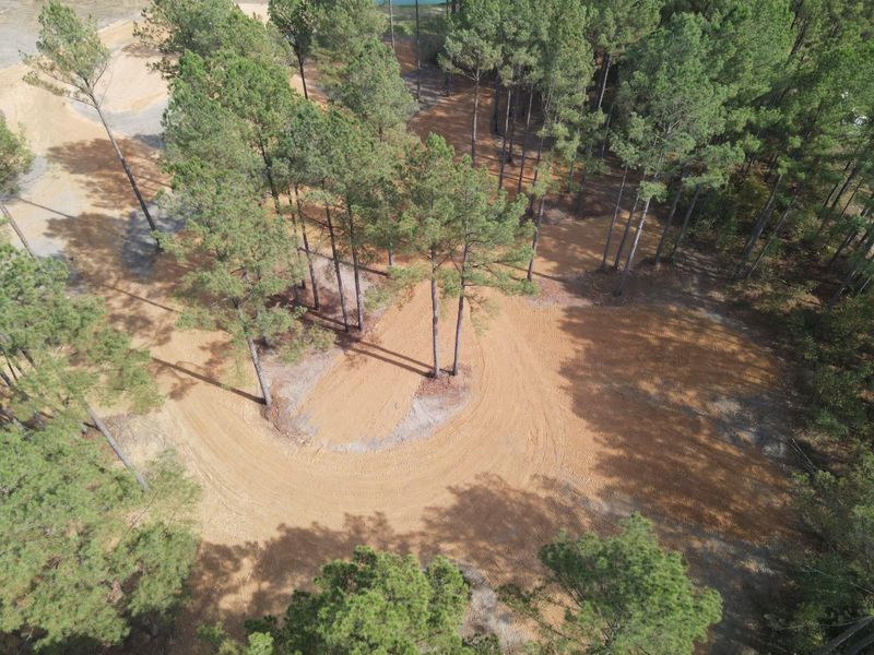 Forestry Mulching
