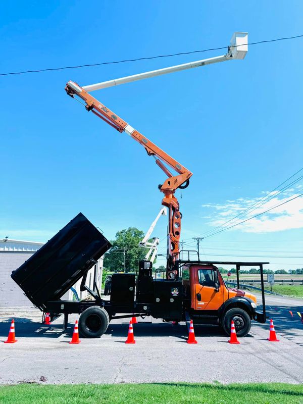 Tree Removal