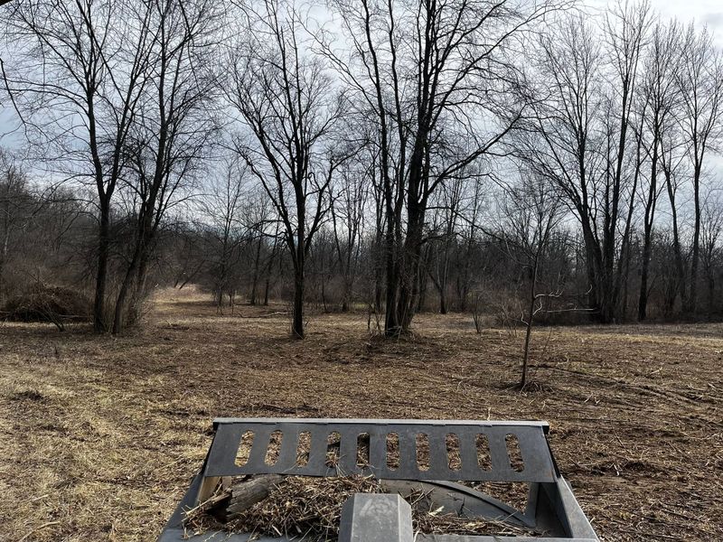 Land Clearing