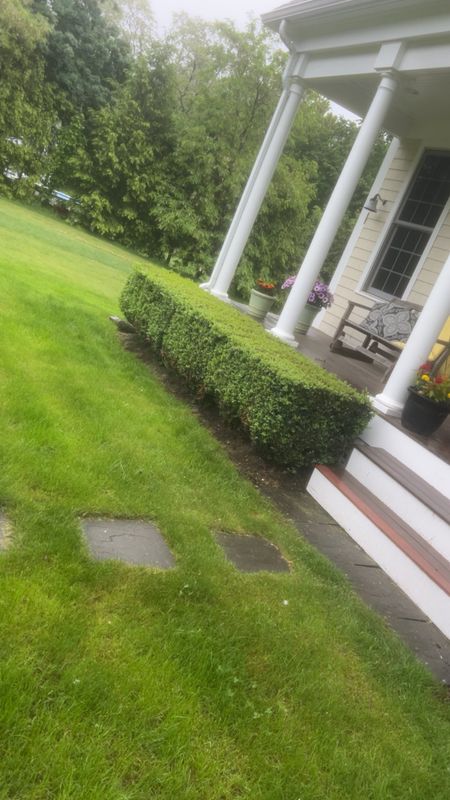 Landscaping