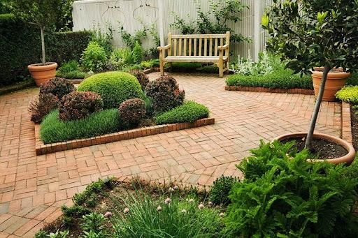 Tree And Shrub Maintenance