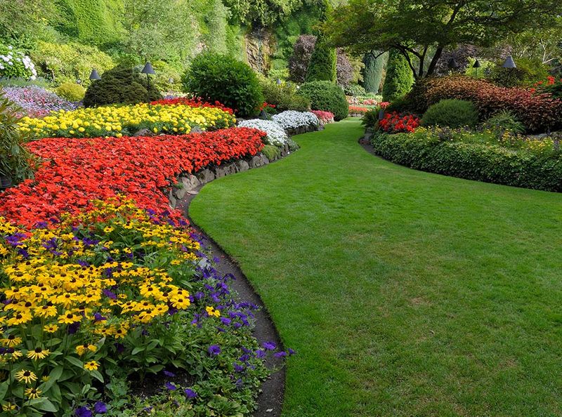 Lawn Maintenance