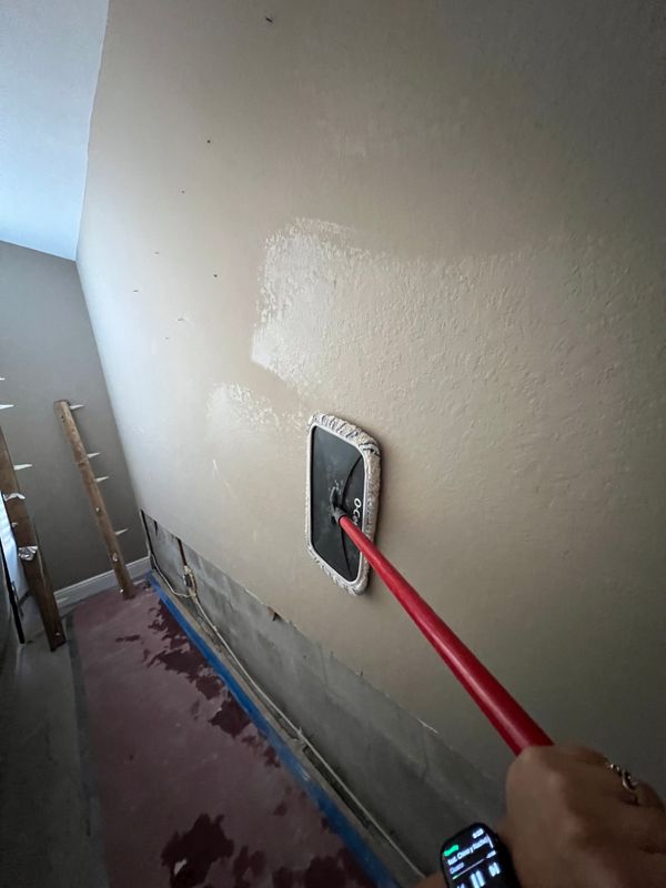 Mold Remediation