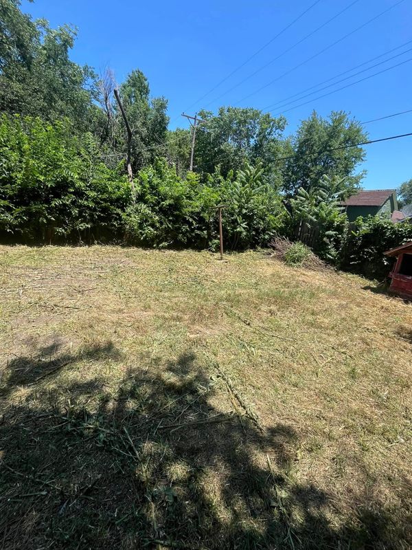 Lawn Maintenance