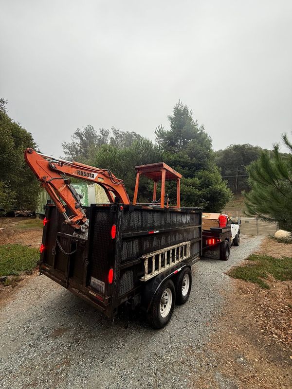 Tree Services