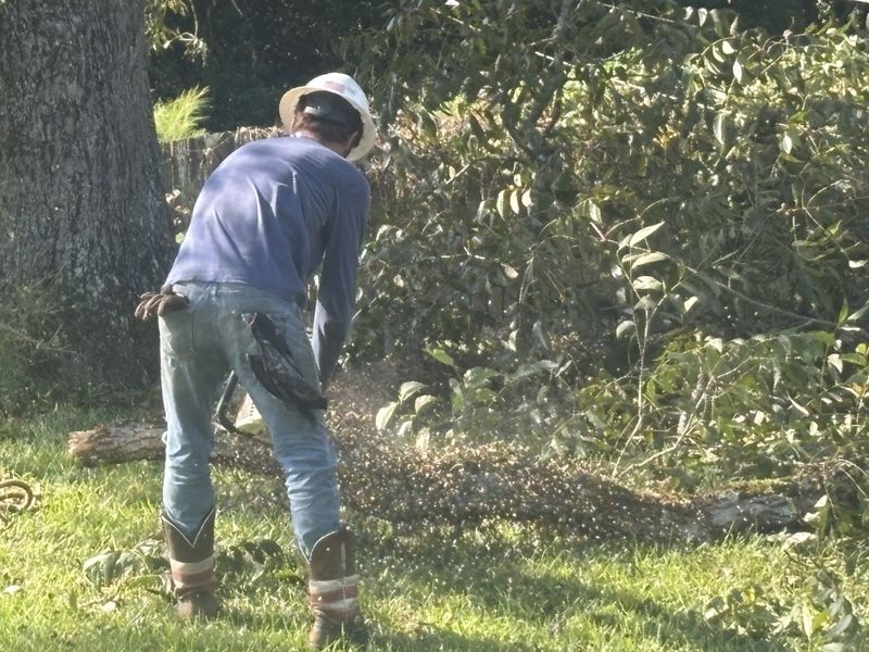 Debris Removal