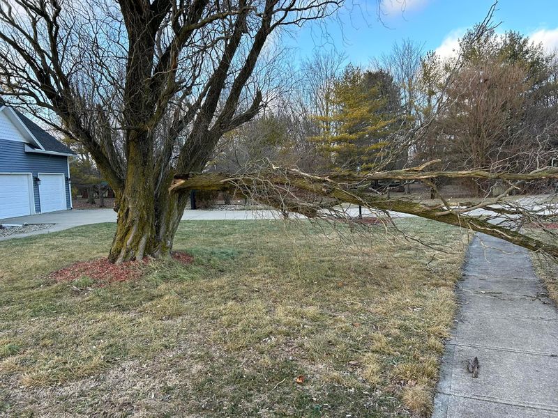 Storm Cleanup