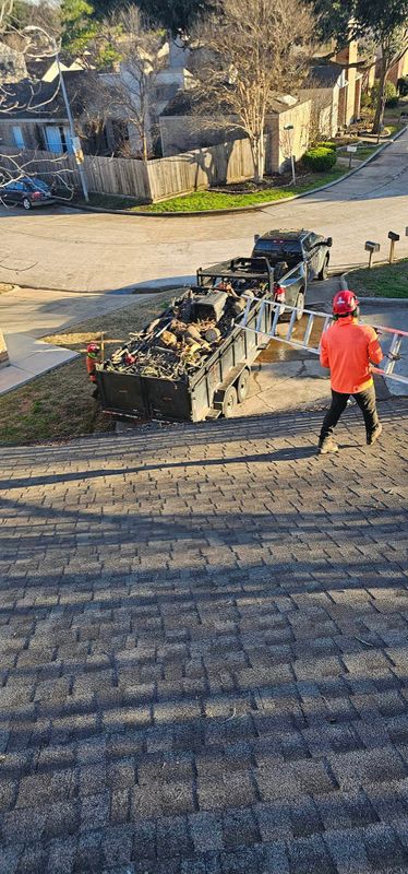 Tree Removal gallery