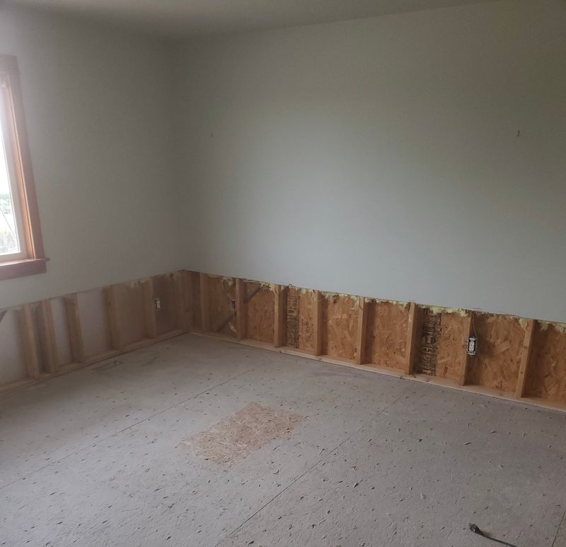 Mold Remediation