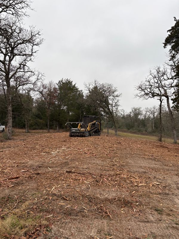 Land Clearing