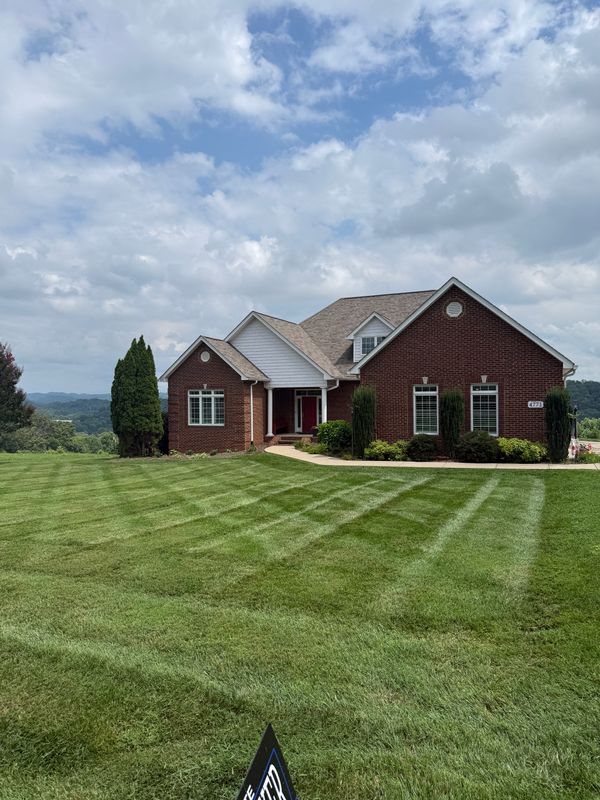 Lawn Maintenance