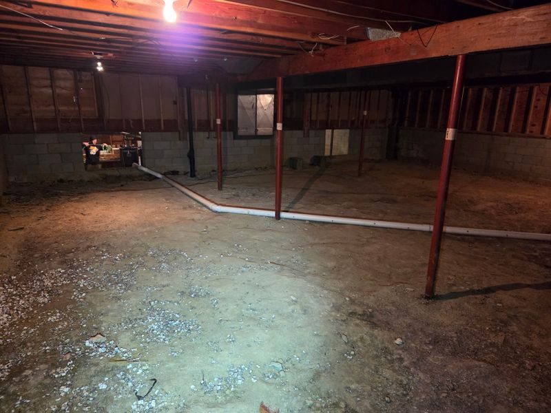 Mold Remediation