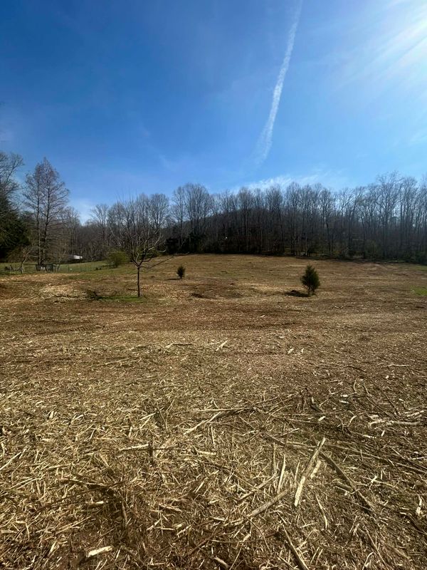 Land Clearing