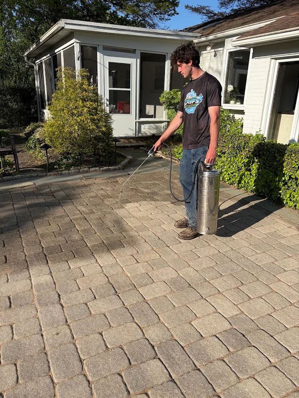Paver Sanding & Sealing