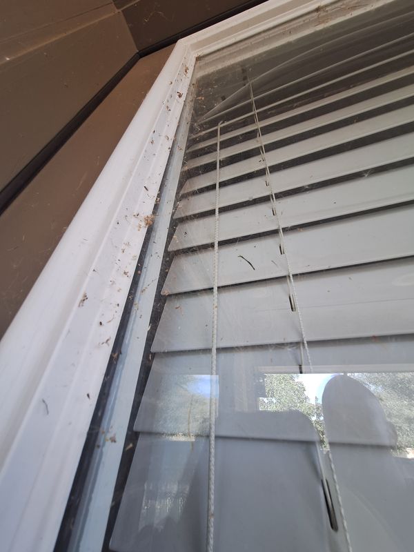Window Cleaning gallery