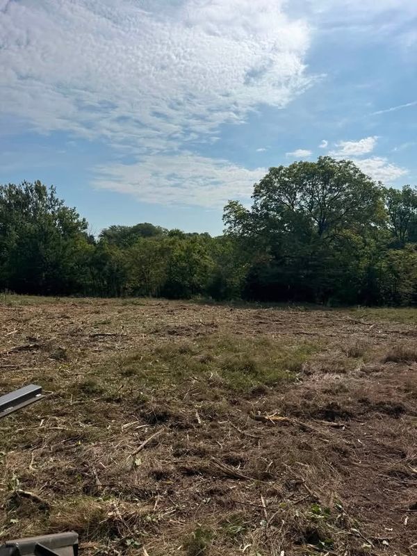 Land Clearing