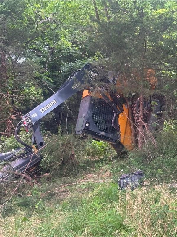 Land Clearing