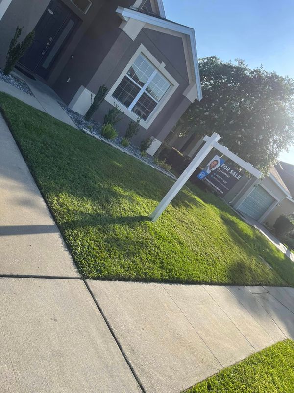 Landscaping Lawn Care