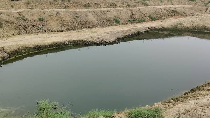 Pond Restoration
