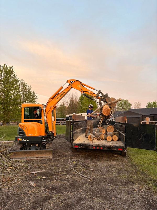 Tree Removal