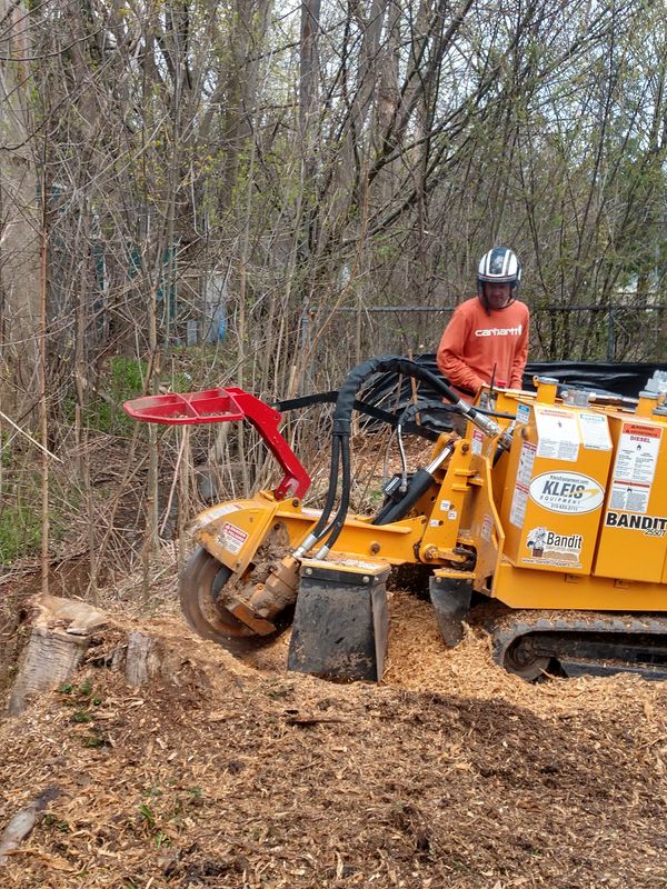 Stump Removal