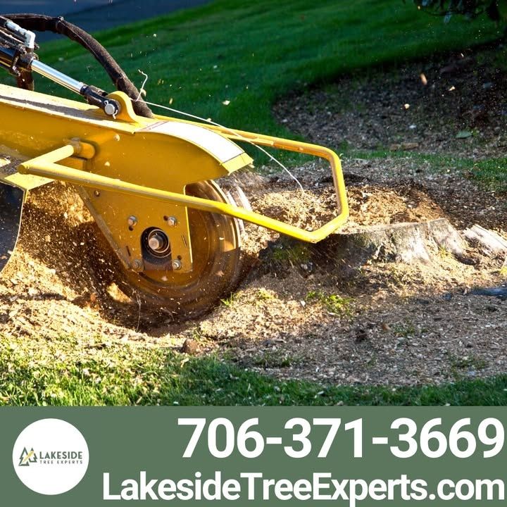 Tree Removal