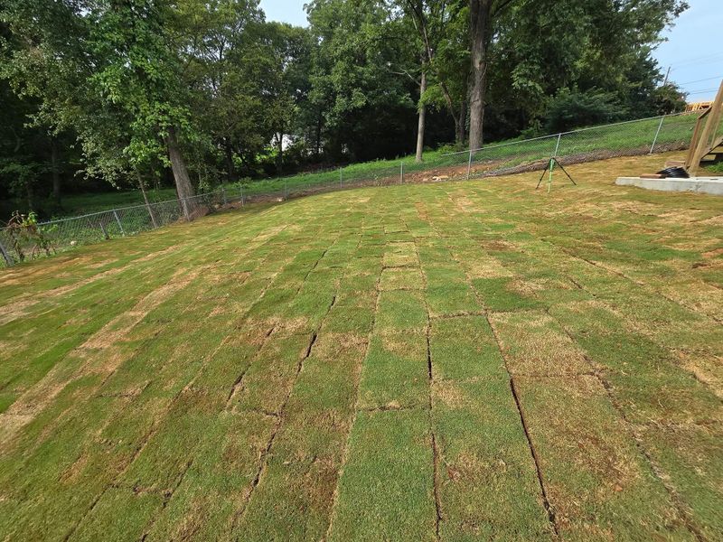 Landscape Design