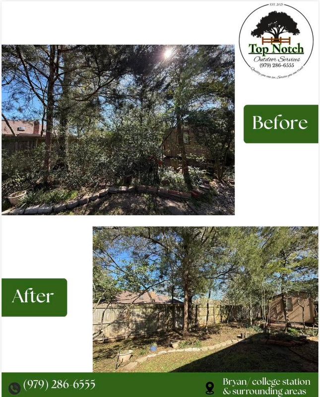 Tree and Shrub Care