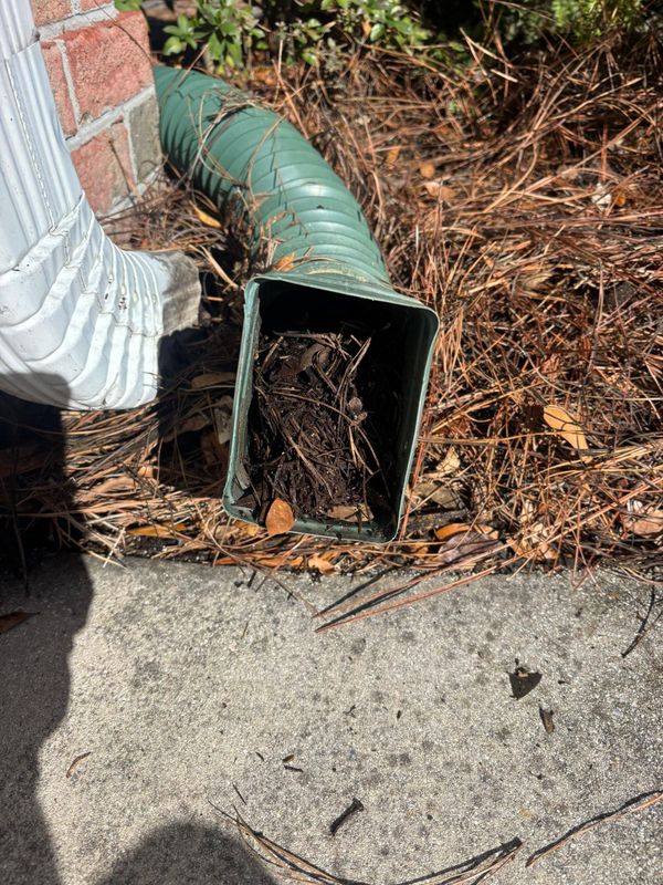 Gutter Cleaning