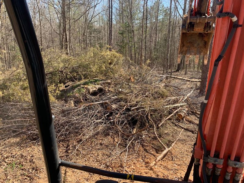 Land Clearing