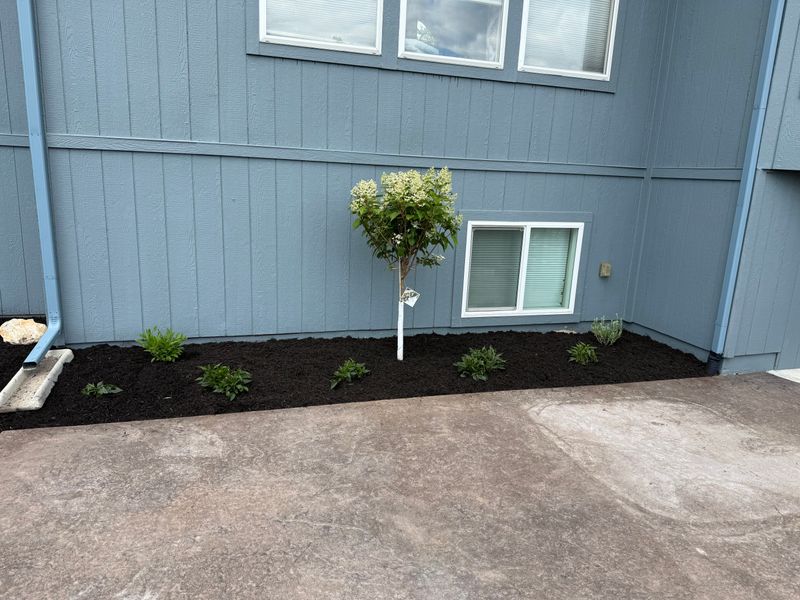 Landscape Installation