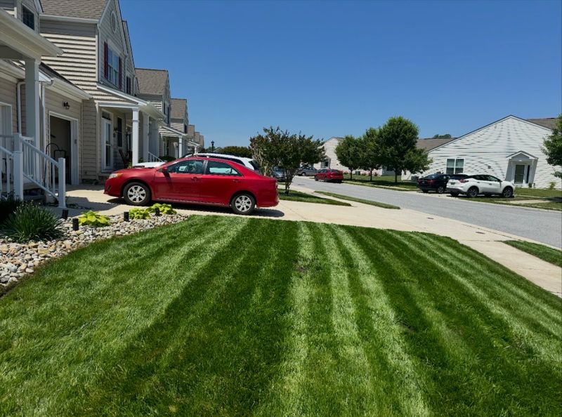 Lawn Mowing & Maintenance