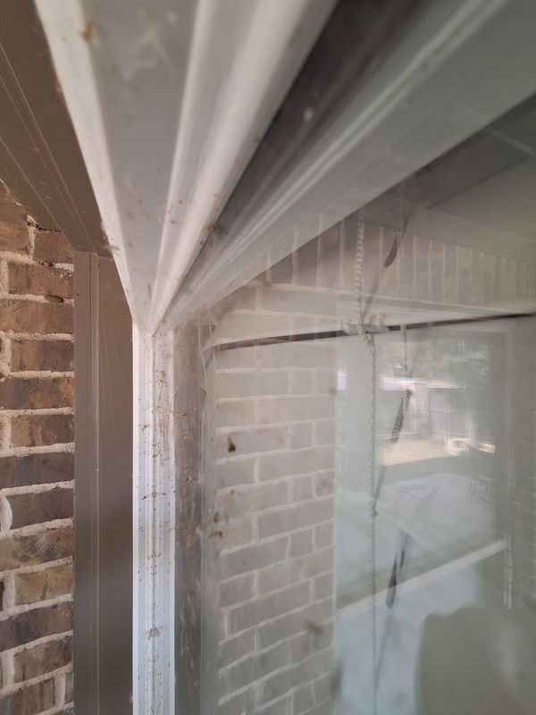 Window Cleaning gallery