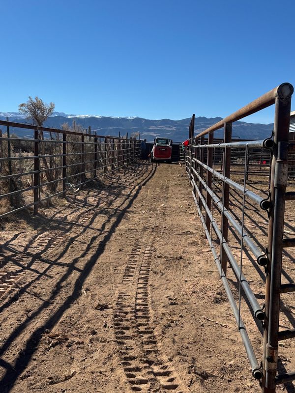Fence Installation