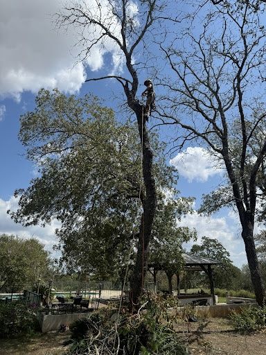 Tree Pruning