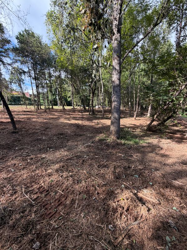 Land Clearing Photos
