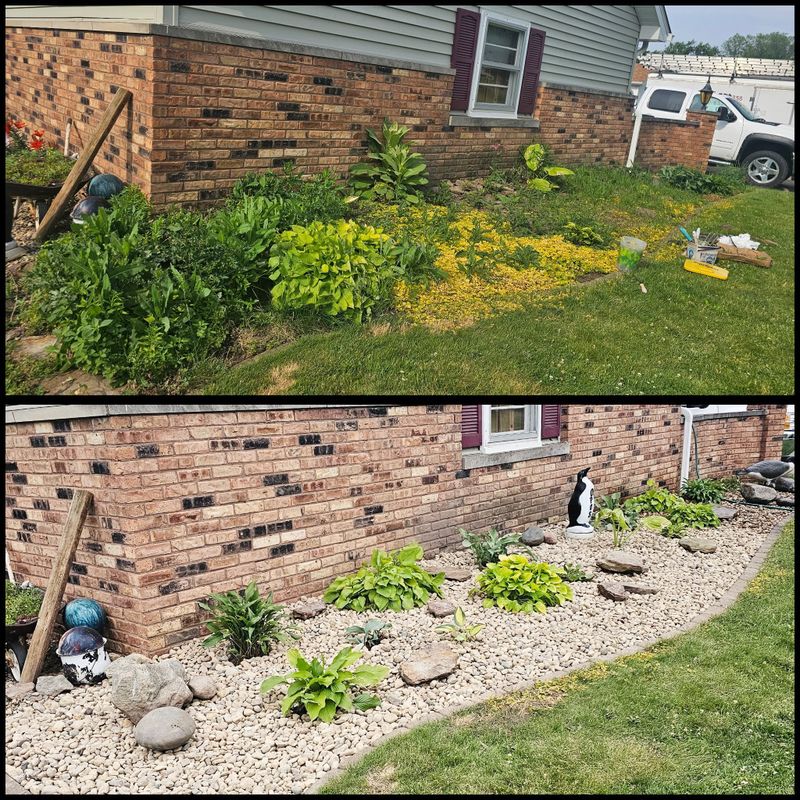 Fall and Spring Clean Up