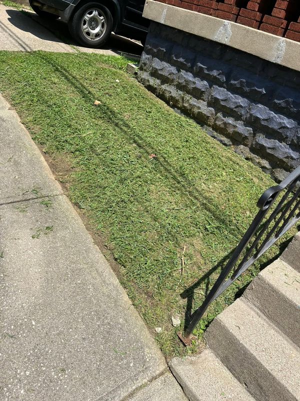 Lawn Maintenance