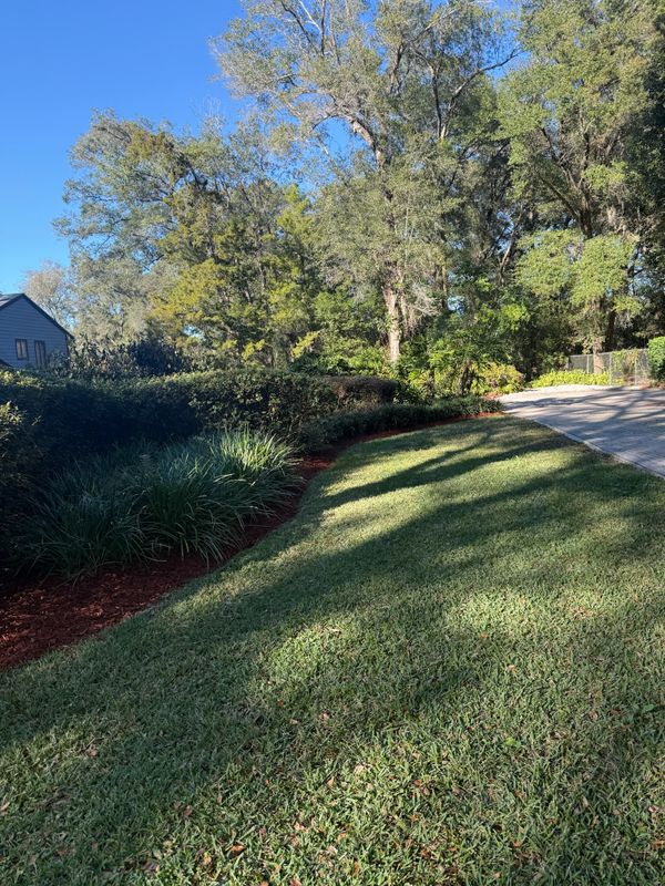 Mulch Installation