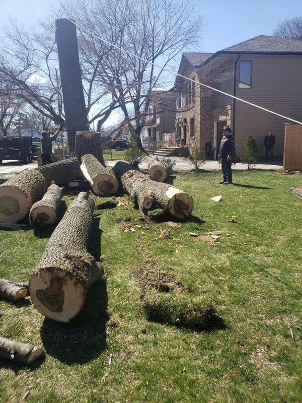 Storm Clean-Ups