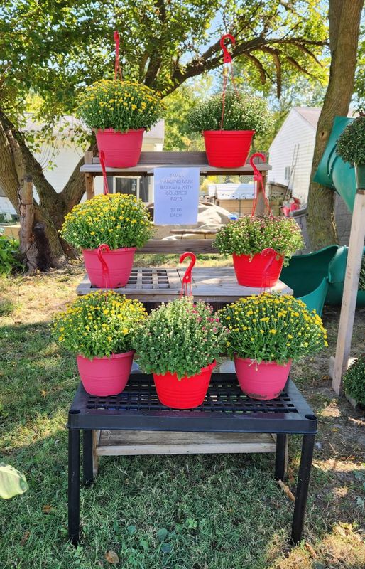 Garden Care and Planting