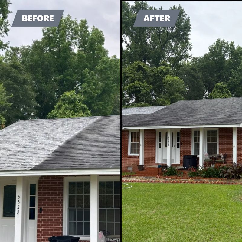 Roof Cleaning