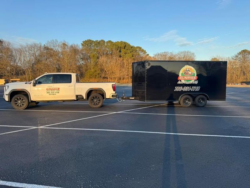 Tree & Shrub Care
